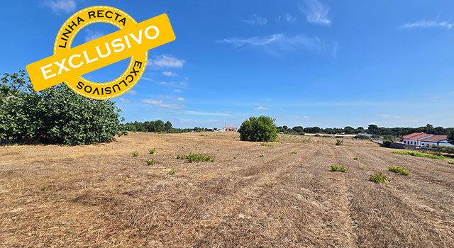 Terreno Rústico, para construção de imóveis, com viabilidade datada de janeiro 2025, na Gambia, Setubal - Refª TV-004.25