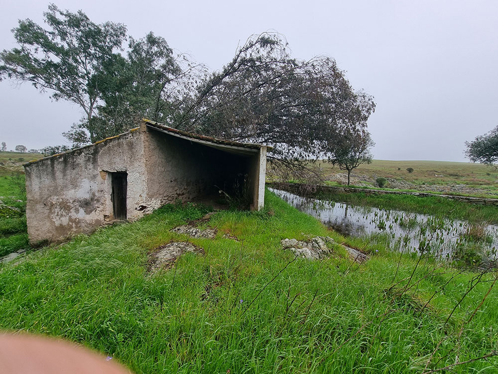 Moradia para recuperar, excelente investimento, para viver ou para rentabilizar como turismo rural, em Ourique - Refª M5-005.25